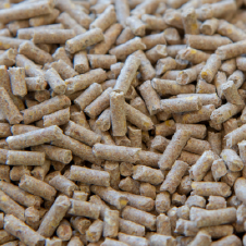 FEED-PRODUCTION-AND-SUPPLY-KLONE-FARMS