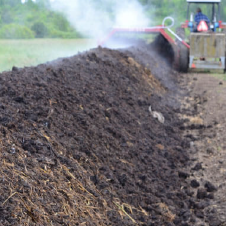 pig-manue-fertilizer-klone-farms